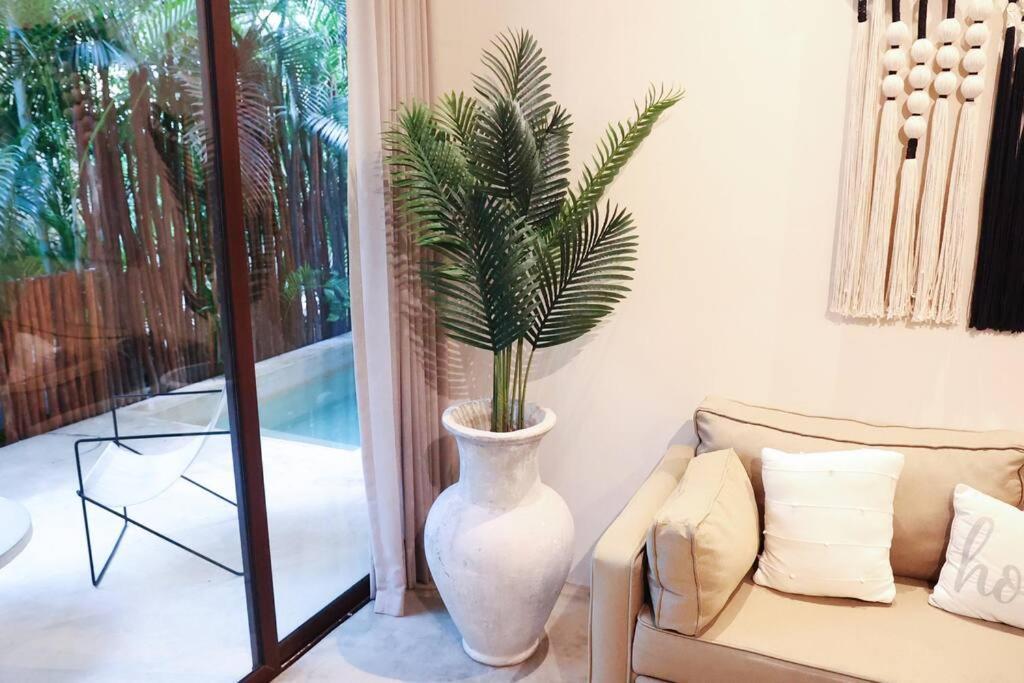 2br Plunge Pool In Tulum